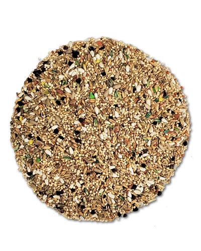 1600 Small Hookbill Per lb -Abba