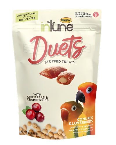 3oz InTune Duets Chickpeas & Cranberries - Higgins