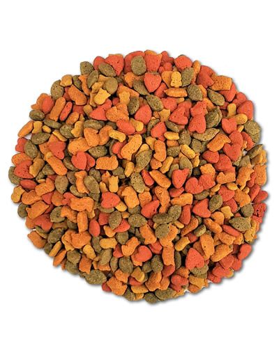 InTune Parrot Pellets Per Lb - Higgins