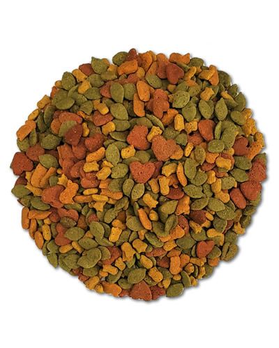InTune Macaw Pellets Per Lb - Higgins