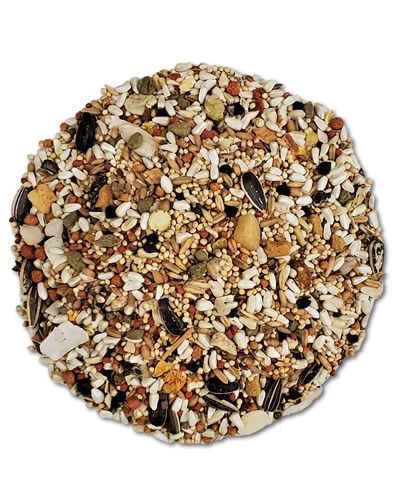 Sunburst Conure Gourmet Mix-Higgins