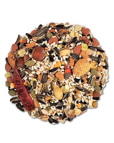 Sunburst Macaw Gourmet Mix - Higgins