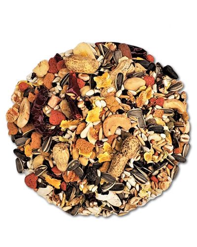 Sunburst Parrot Gourmet Mix - Higgins