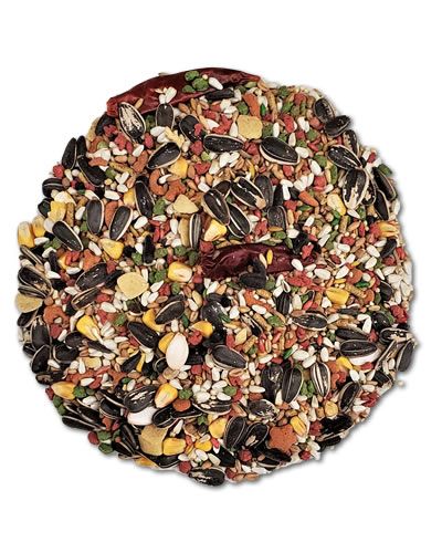 Parrot Forti Diet Pro Health Per Lb - Kaytee