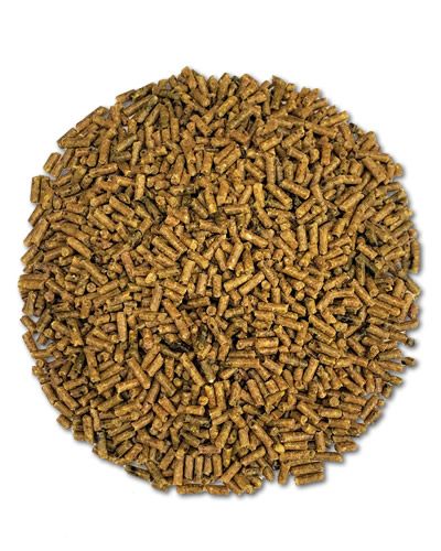Small Daily Maintenance Pellets Per Lb- Roudybush