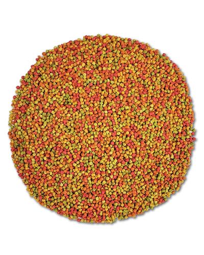 Small Parakeet Fruit Blend Per lb - Zupreem