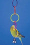 Olympic Rings with Bell-Penn Plax