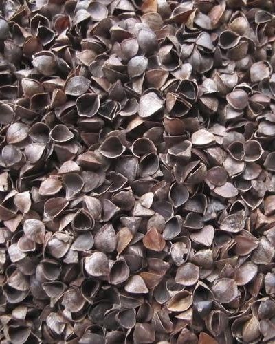 20lb Buckwheat - Bulk Ingredients