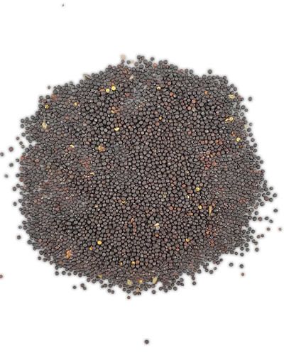 20lb Canola Seed - Bulk Ingredients