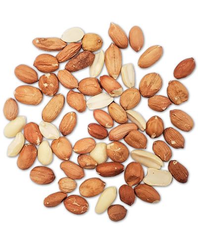 20lb Raw Peanuts - Bulk Ingredients