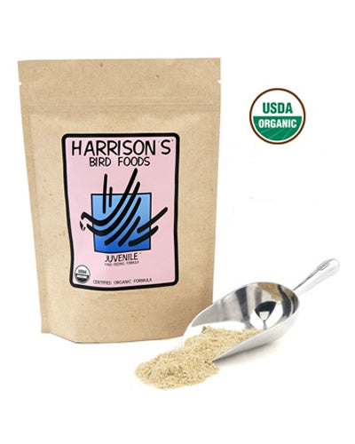 1lb Juvenile Hand-Feeding Formula - Harrison's