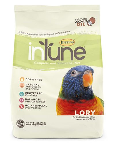 5lb InTune Lory - Higgins
