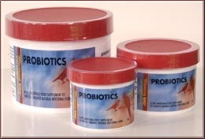 6oz ProBiotics - Morning Bird