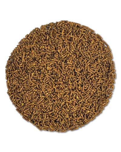 22oz Mini - Roudybush Daily Maintenance