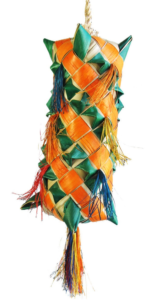 Carnival Xl