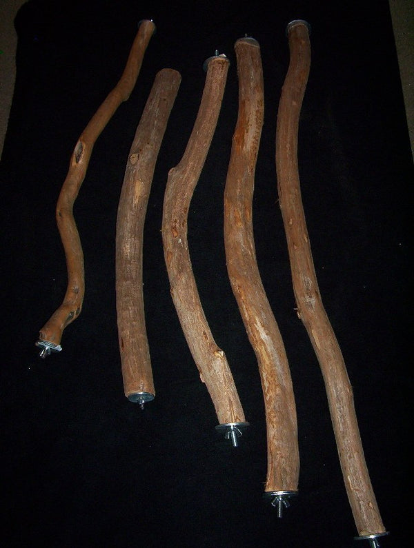 Full Length Natural Wood Perch