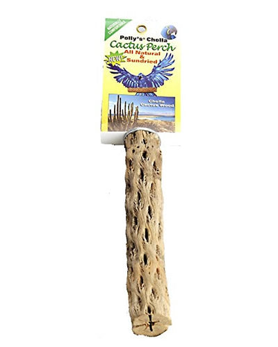 Md Cholla Cactus Perch - Polly's