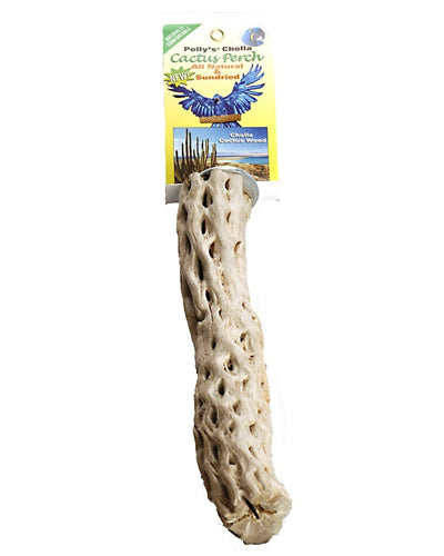 Lg Cholla Cactus Perch - Polly's