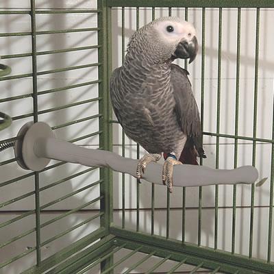 Medium Thermo Perch-K&H