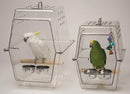 Large Wingabago Bird Carrier - Playful Parrot