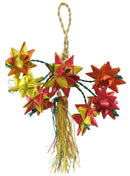 Star Cluster Mini