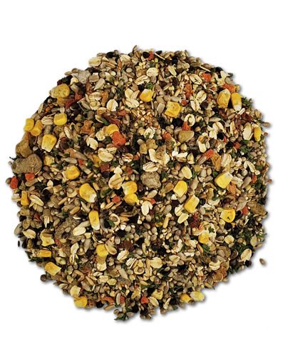 Small Hookbill Buffet Per Lb - World's Best