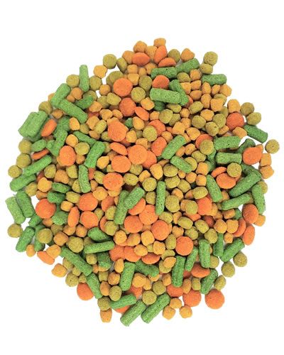 3.25lb VeggieBlend Flavor-Zupreem