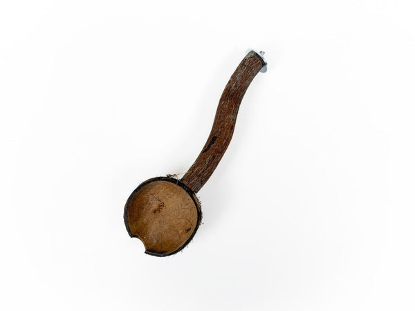 Coconut Cup with Perch Small  Polly's